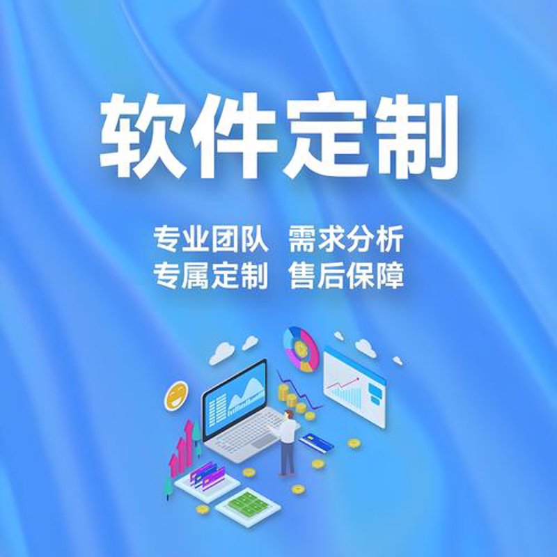 软件项目开发